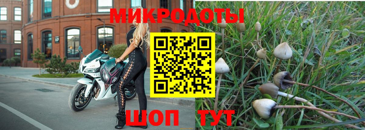 Мичуринск  Галлюциногенные грибы ЛСД  купить наркотик  Вход с VPN 